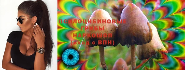 первитин Армянск