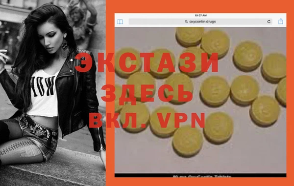 шишки Арсеньев