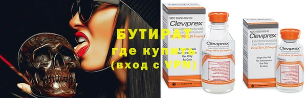 шишки Арсеньев