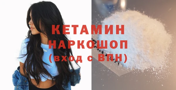 шишки Арсеньев