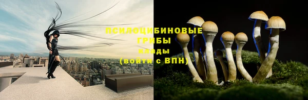 первитин Армянск