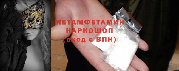 шишки Арсеньев