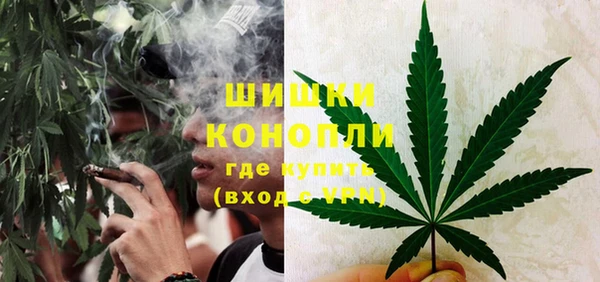 шишки Арсеньев