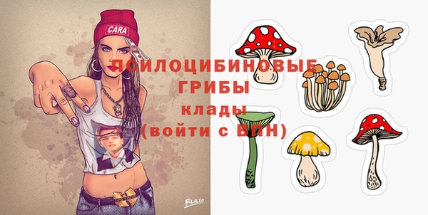 шишки Арсеньев
