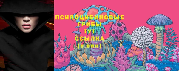 шишки Арсеньев