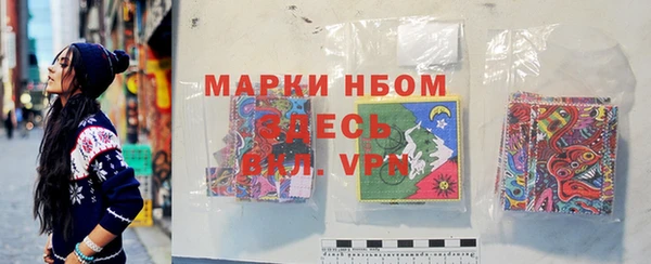 шишки Арсеньев
