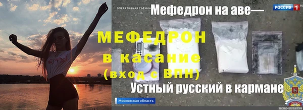 шишки Арсеньев